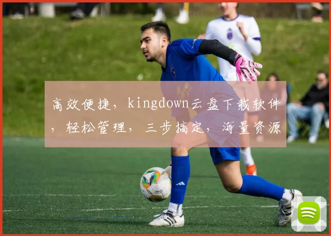 高效便捷，kingdown云盘下载软件，轻松管理，三步搞定，海量资源，一触即达，体验非凡。