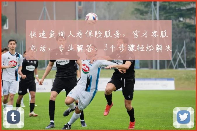 快速查询人寿保险服务，官方客服电话，专业解答，3个步骤轻松解决疑问