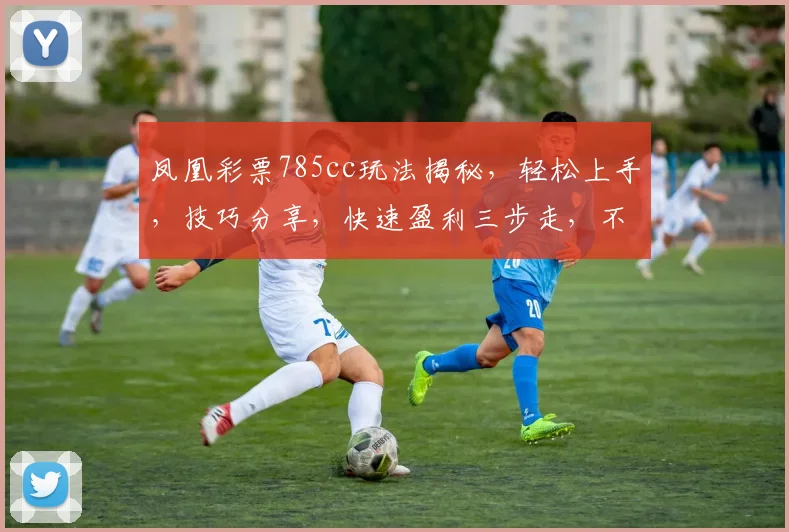 凤凰彩票785cc玩法揭秘，轻松上手，技巧分享，快速盈利三步走，不容错过