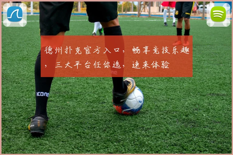 德州扑克官方入口，畅享竞技乐趣，三大平台任你选，速来体验